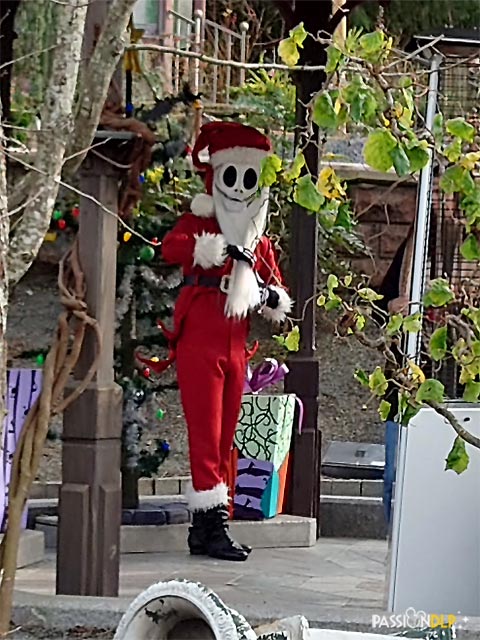 jack noël