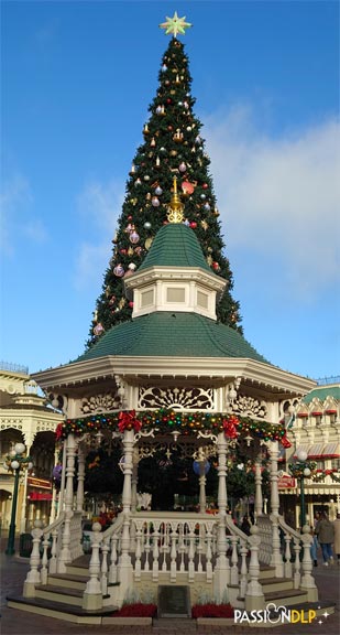 noel dp