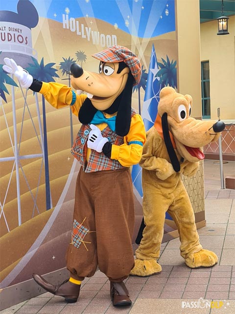 dingo et pluto