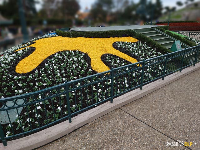 parterre de fleurs central plaza