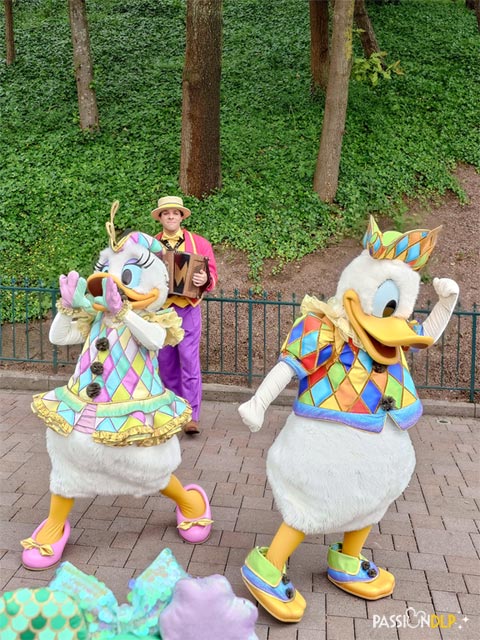 L’accordéoniste de Donald et Daisy