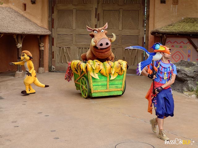 Timon's Matadance