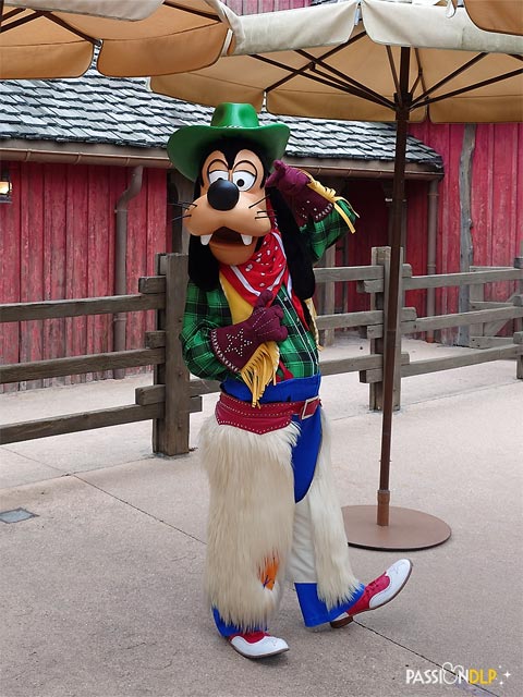 dingo cowboy