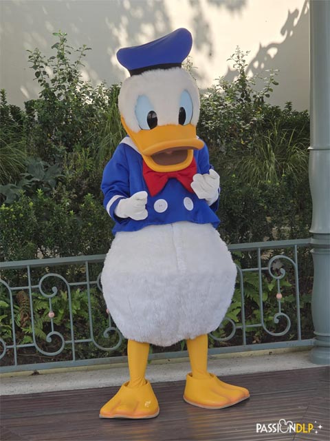 anniversaire donald