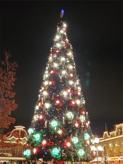 illumination du Sapin de Noël