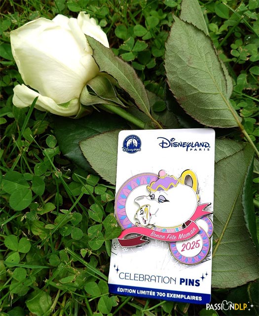 pin's fête des mères