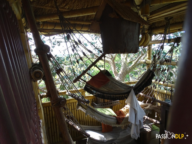 la cabane des robinson