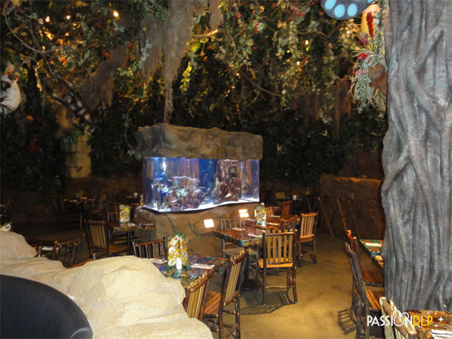 rainforest café