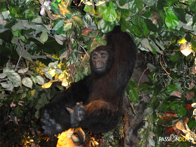 rainforest café