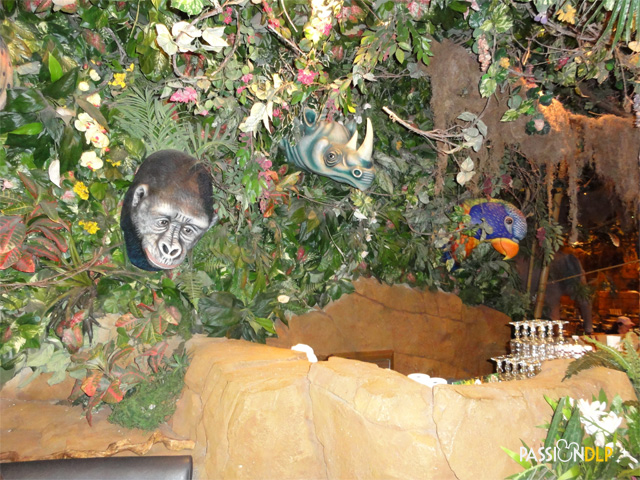 rainforest café