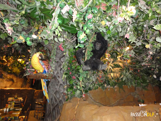 rainforest café