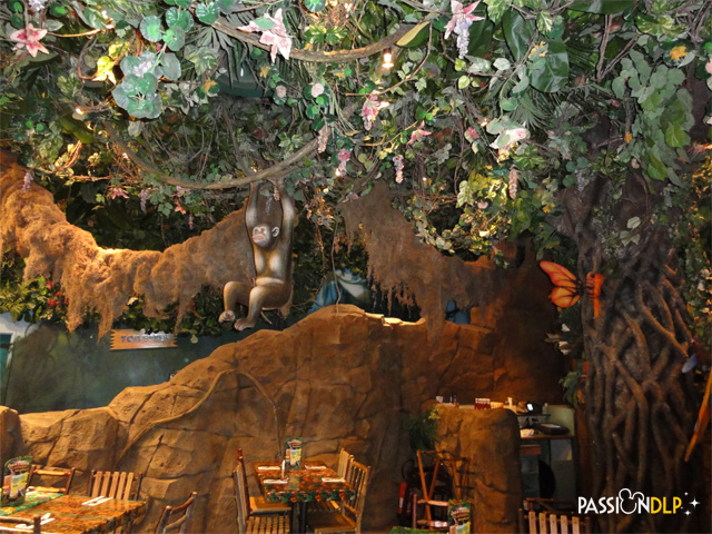 rainforest café