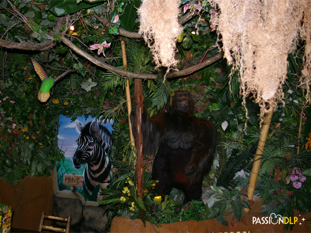 rainforest café