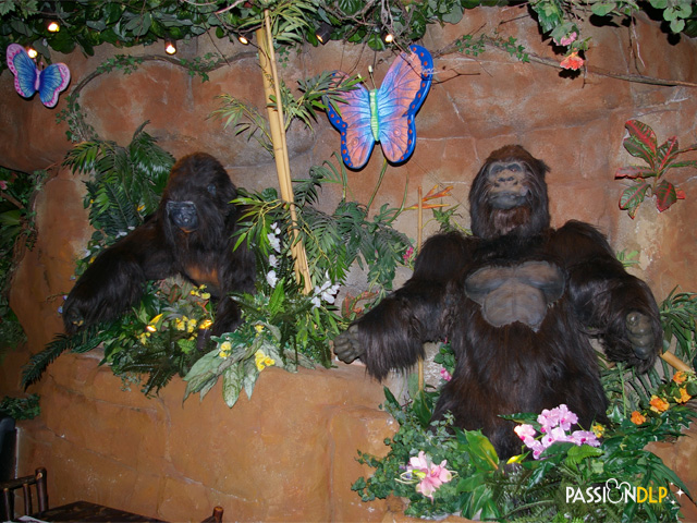 rainforest café