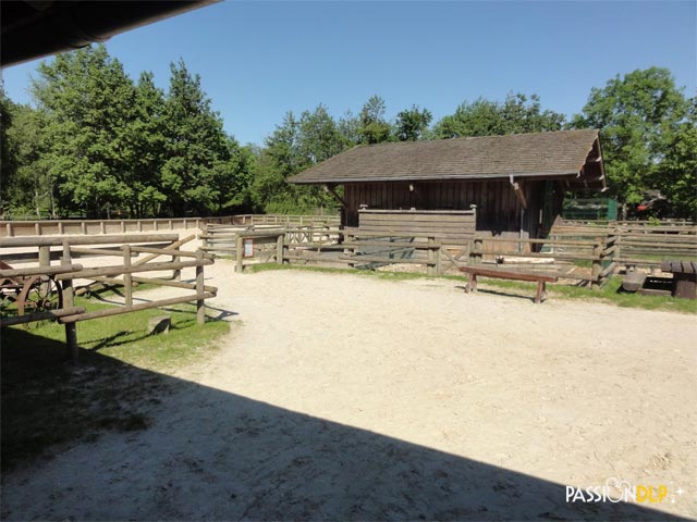 davy crockett ranch