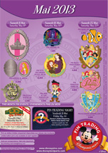affiche pins mai 2013
