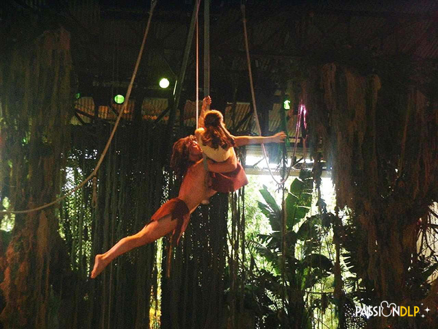 tarzan, la rencontre