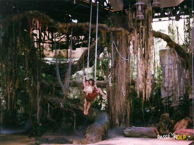 tarzan la rencontre disneyland paris