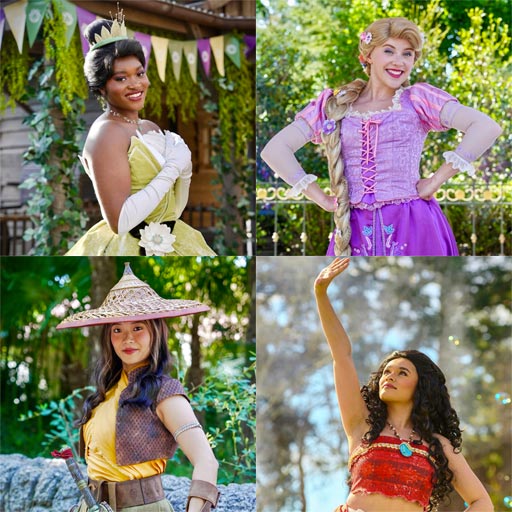 Cavalcade des Princesses Disney